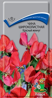 Чина широколистная Красный жемчуг, 0,3 г