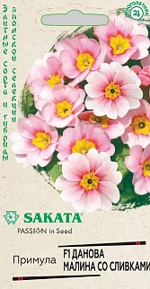 Примула Данова малина со сливками F1, 5 шт. Саката.