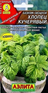 Базилик овощной Хлопец кучерявый, 0,2 г