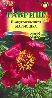 Пион уклоняющийся Марьюшка, 3 шт. 
