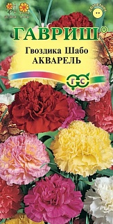 Гвоздика Шабо Акварель, смесь, 0,1 г