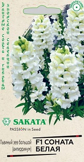 Антирринум Соната, белая F1, 10 шт.