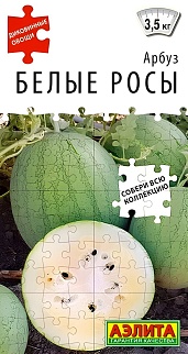 Арбуз Белые росы, 5 шт.