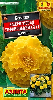 Бегония гофрированная Америгибрид F1, желтая, 5 шт.