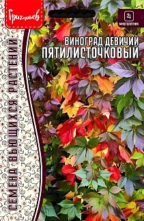 Виноград Пятилисточковый девичий 5 шт.
