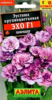 Эустома Эхо F1 лавендер крупноцветковая, 5 шт.