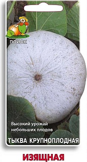 Тыква крупноплодная Изящная, 10 шт.