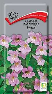 Азарина Лазающая Розовая, 10 шт.