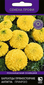 Бархатцы прямостоячие Антигуа Примроуз, 15 шт. Семена профи