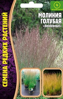 Молиния голубая "Heidebraut" 20 шт 
