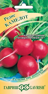 Редис Камелот, 2 г. Авторские семена.
