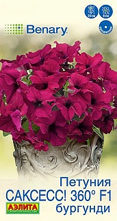 Петуния Саксесс! 360° F1 Бургунди, 7 шт.