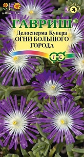 Делосперма обильноцветущая Огни большого города, 7 шт. 