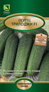 Огурец Трилоджи F1, 10 шт.