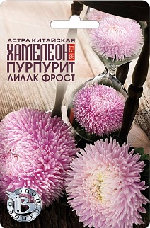 Астра китайская Хамелеон селект Пурпурит Лилак Фрост, 30 шт. Биотехника