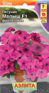 Петуния мини Малыш F1, многоцветковая, фиолетовая, 7 шт.