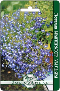 Лобелия Император Уильям, 1000 шт. Биотехника