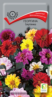 Георгина Смуглянка, 0,2 г