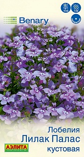 Лобелия Лилак палас кустовая, 5 шт.
