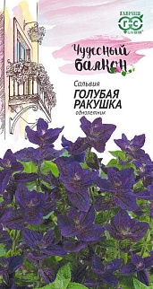 Сальвия Голубая ракушка, 0,05 г. Чудесный балкон. 