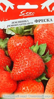 Земляника Ремонтантная Фреска F1, 10 шт. Русский огород