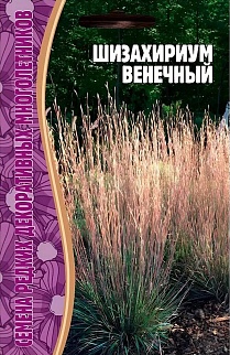 Шизахириум Венечный, 20 шт.