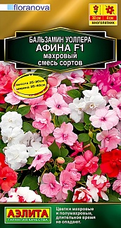 Бальзамин Афина F1 махровый, смесь сортов, 5 шт. 
