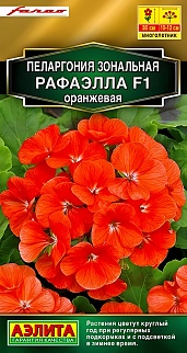 Пеларгония Рафаэлла F1, оранжевая, 5 шт.
