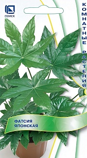 Фатсия японская Аралия, 3 шт.