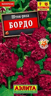 Шток-роза Бордо, 15 шт. 