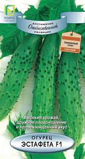 Огурец Эстафета F1, 12 шт. Достижения отечественной селекции.