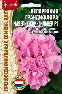 Пеларгония грандифлора Маверик Квиксильвер F1, 3 шт.