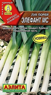 Лук порей Элефант МС, 0,5 г 