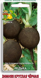 Редька Зимняя круглая черная, 2 г