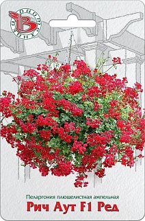 Пеларгония плющелистная ампельная Рич Аут F1 Ред, 5 шт. Биотехника