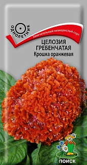 Целозия гребенчатая Крошка Оранжевая, 0,1 г