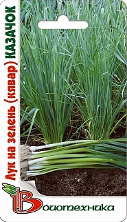 Лук на зелень, кявар Казачок, 0,5 г Биотехника