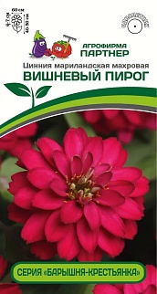 Цинния "Барышня-крестьянка" Вишневый пирог, 5 шт. Агрофирма Партнер.