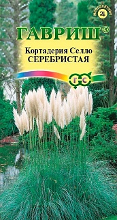 Кортадерия Серебристая, 8 шт.