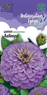 Цинния Лаванда, 0,5 г. Лавандовые грезы.