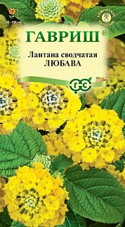 Лантана сводчатая Любава, 0,1 г