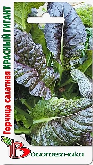 Горчица салатная Красный Гигант, 200 шт. Биотехника.