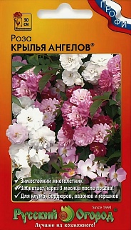 Роза Крылья Ангелов, 10 шт. Русский огород
