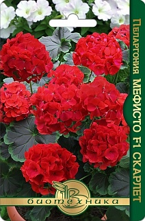 Пеларгония Мефисто F1 Скарлет, 5 шт. Биотехника