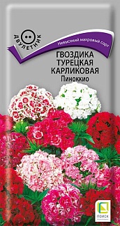 Гвоздика Турецкая карликовая Пиноккио, 0,3 г