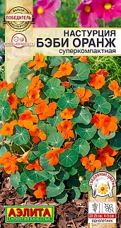 Настурция Бэби оранж, суперкомпактная, 4 шт.