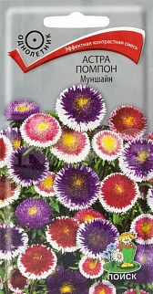 Астра помпон Муншайн, 0,3 г