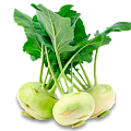 Капуста кольраби