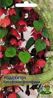 Родохитон Китайские фонарики, 5 шт.