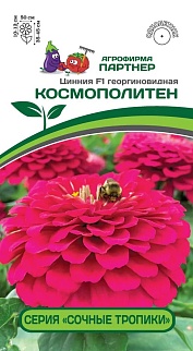 Цинния "Сочные тропики" Космополитен F1, 4 шт. Агрофирма Партнер.